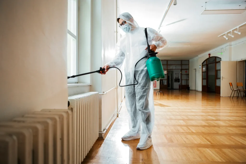 How Our Process Works - North Highlands Best Pest Pros | North Highlands, CA