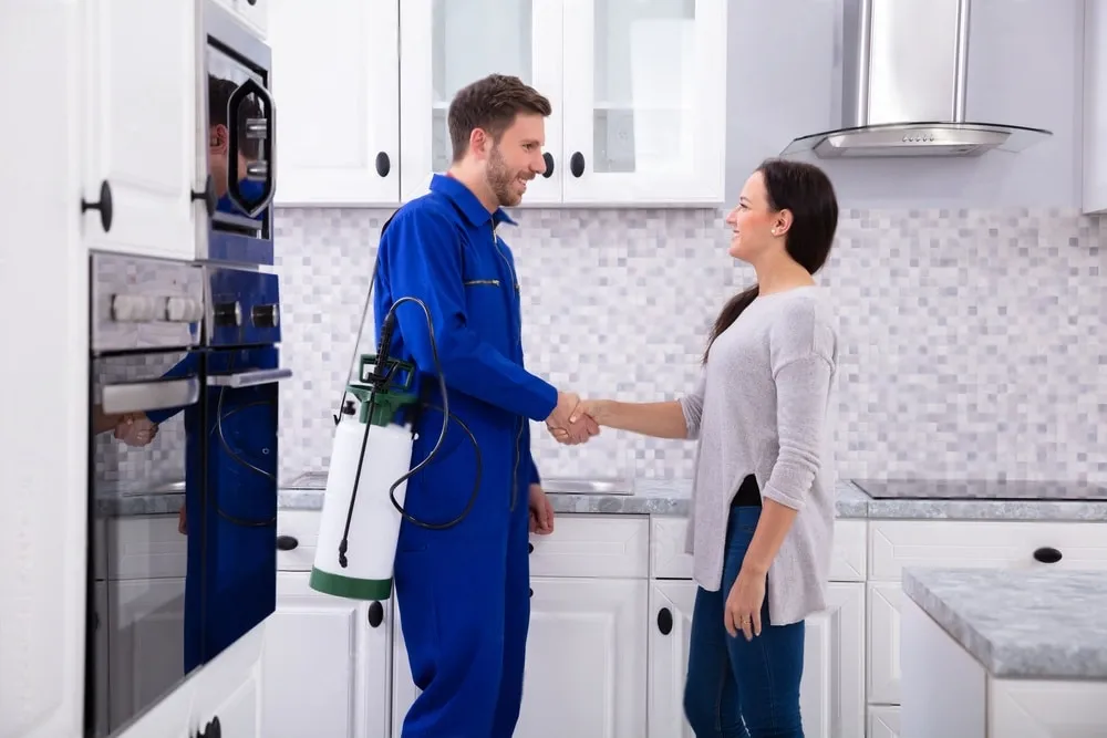 Pest Control Experts - North Highlands Best Pest Pros | North Highlands, CA